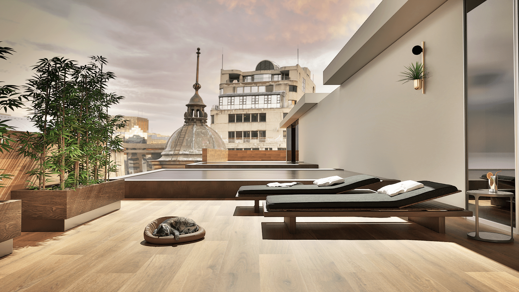 Terraza